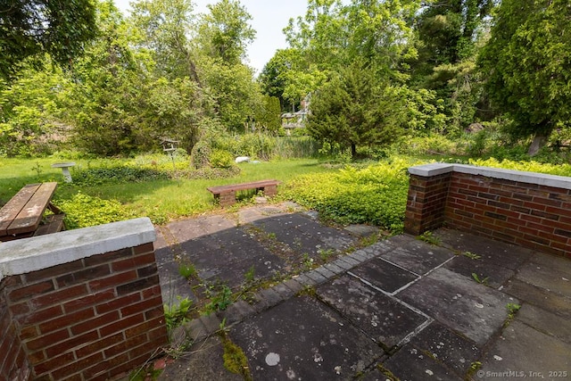 3 Glen Dr, Old Saybrook, CT 06475 - view of green lawn with a patio area