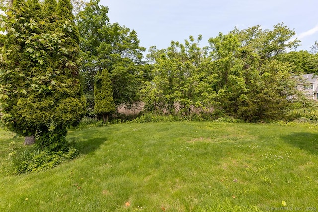 3 Glen Dr, Old Saybrook, CT 06475 - view of yard