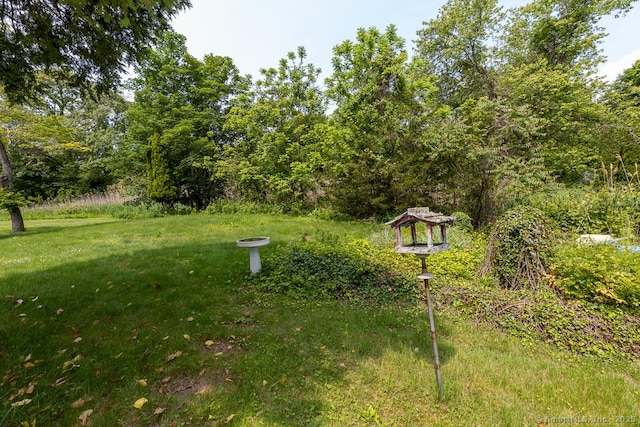 3 Glen Dr, Old Saybrook, CT 06475 - view of green lawn