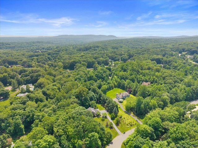 1 Mountaincrest Dr, Cheshire, CT 06410 - bird's eye view of a forest