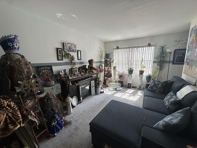 135 Bucks Hill Rd Apt 10, Waterbury, CT 06704 - living room with carpet floors