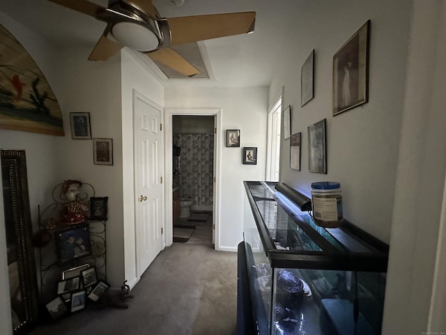135 Bucks Hill Rd Apt 10, Waterbury, CT 06704 - corridor featuring carpet floors, baseboards, and arched walkways