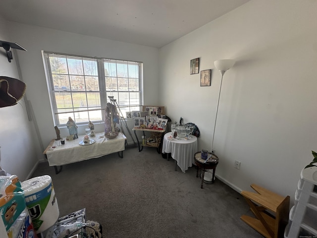 135 Bucks Hill Rd Apt 10, Waterbury, CT 06704 - rec room with carpet and baseboards