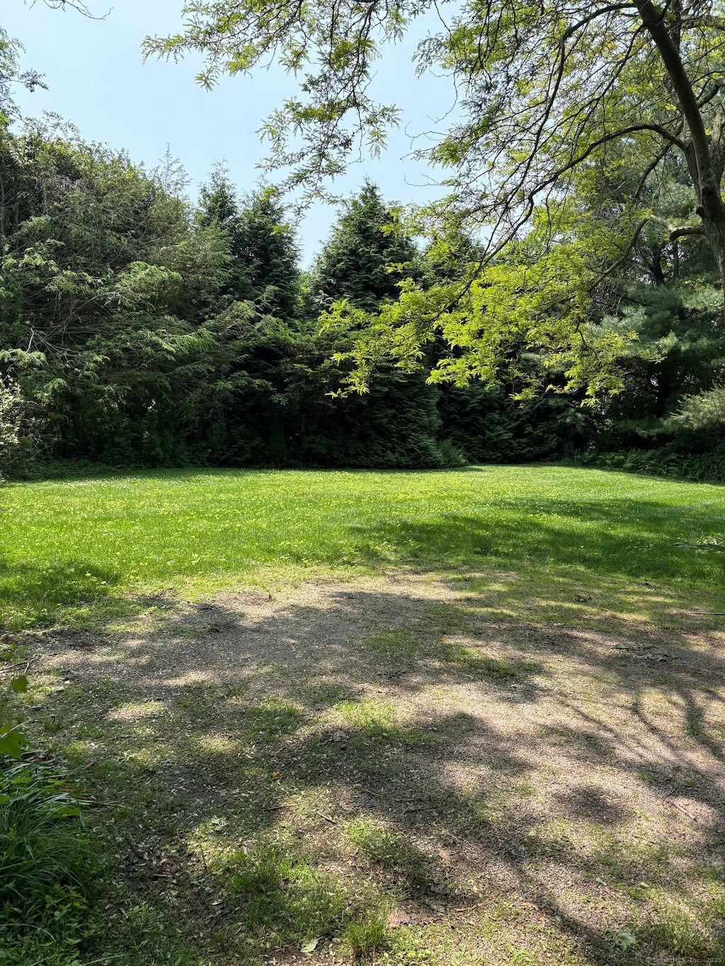 355 Main St, Old Saybrook, CT 06475 - view of green lawn with a view of trees