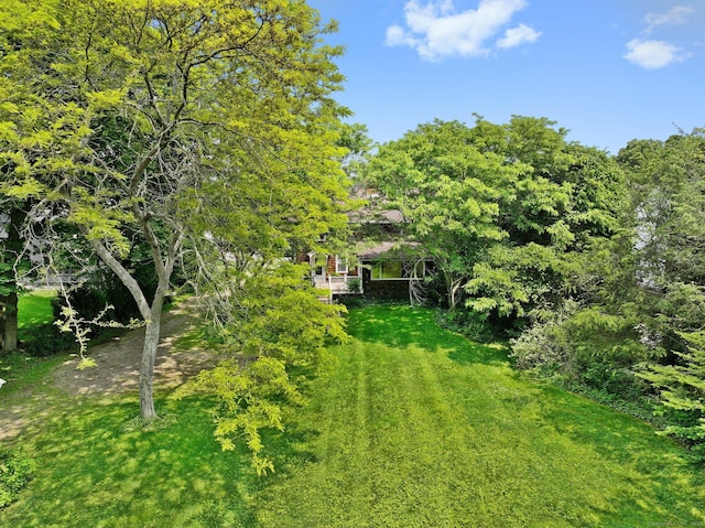 355 Main St, Old Saybrook, CT 06475 - view of grassy yard