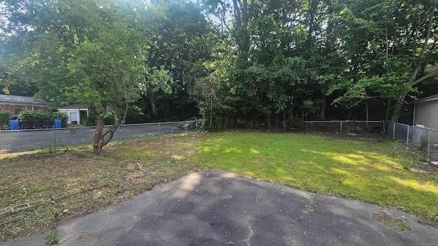 215 Stanley St, New Britain, CT 06051 - view of yard