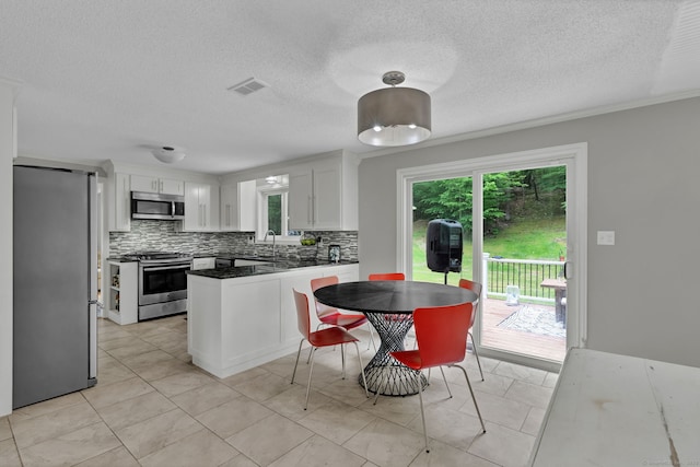 2 Pent Rd, Bloomfield, CT 06002 - kitchen with appliances with stainless steel finishes, plenty of natural light, white cabinetry, and a textured ceiling