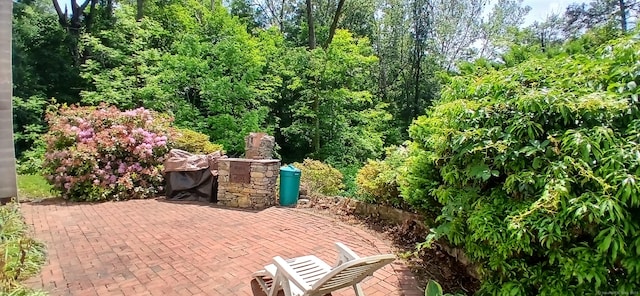 33 Bristol Dr, Canton, CT 06019 - view of patio