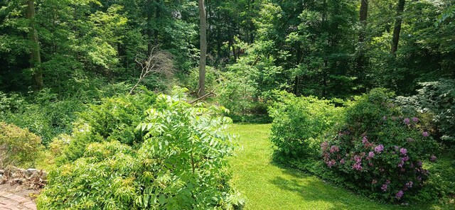 33 Bristol Dr, Canton, CT 06019 - view of wooded area