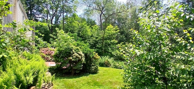 33 Bristol Dr, Canton, CT 06019 - view of green lawn