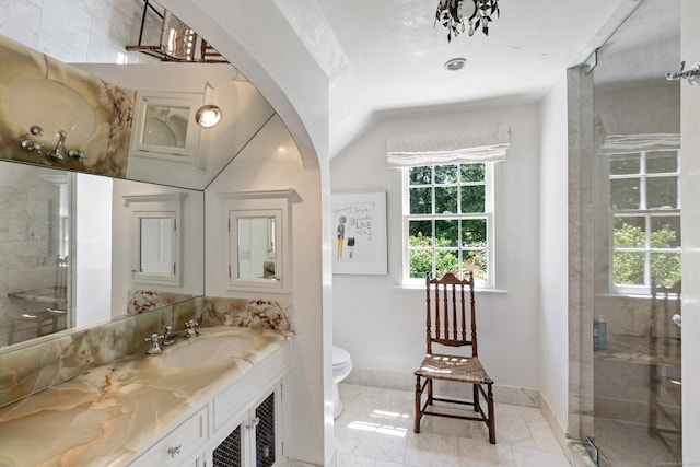6 Over Rock Ln, Westport, CT 06880 - bathroom featuring plenty of natural light, toilet, vanity, and a shower stall