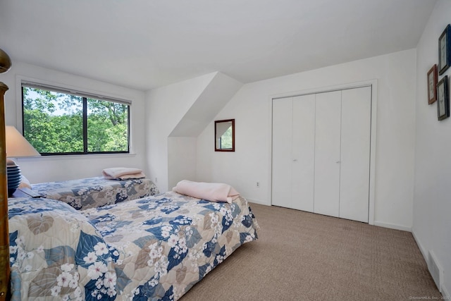 76 Farview Farm Rd, Redding, CT 06896 - bedroom with carpet and a closet