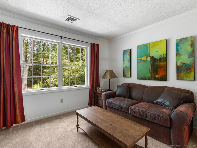 152 Hollyberry Rd, Bristol, CT 06010 - carpeted living room featuring a textured ceiling and crown molding