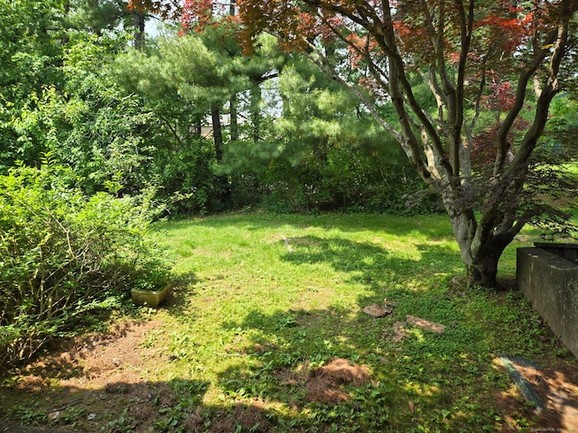 7 Bayberry Ct Unit 7, Cromwell, CT 06416 - view of green lawn
