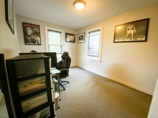 240 Martin St, Hartford, CT 06120 - office with healthy amount of natural light, carpet flooring, and baseboards