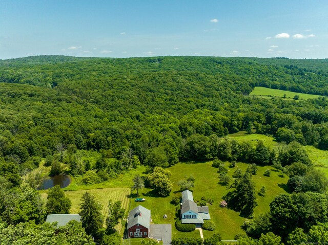 163 Lake Rd, Warren, CT 06754 - aerial view of a heavily wooded area