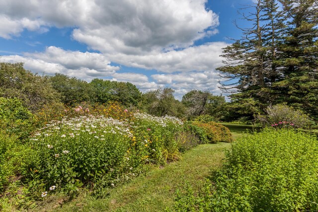 163 Lake Rd, Warren, CT 06754 - view of local wilderness