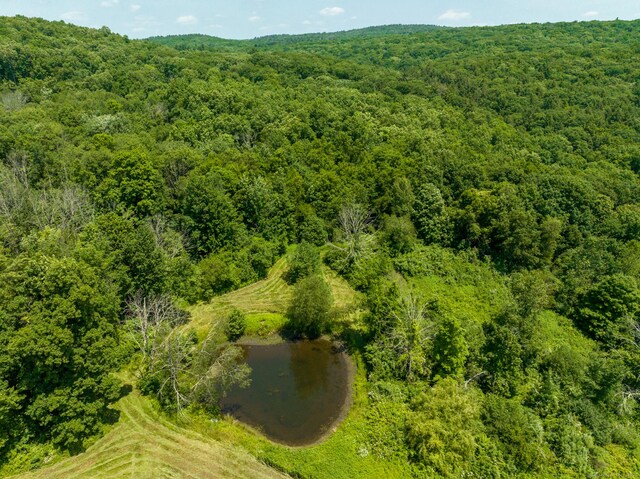 163 Lake Rd, Warren, CT 06754 - aerial view of a forest and a nearby body of water