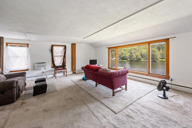 46 Bellamy Ln, Bethlehem, CT 06751 - living room with carpet flooring, lofted ceiling, a baseboard heating unit, a baseboard radiator, and attic access