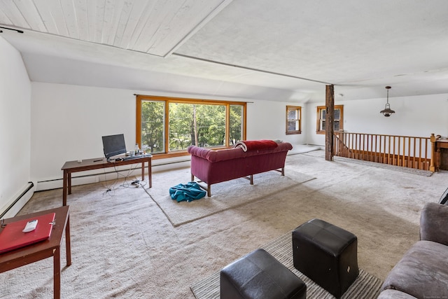 46 Bellamy Ln, Bethlehem, CT 06751 - view of carpeted living room