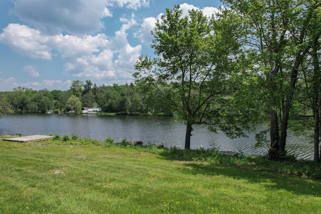 46 Bellamy Ln, Bethlehem, CT 06751 - water view with a forest