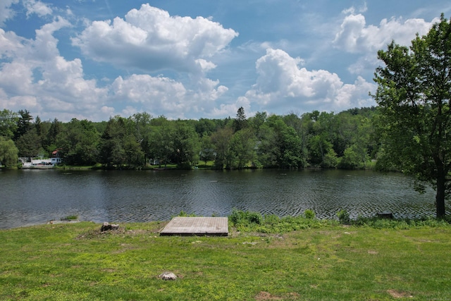 46 Bellamy Ln, Bethlehem, CT 06751 - water view featuring a dock and a heavily wooded area