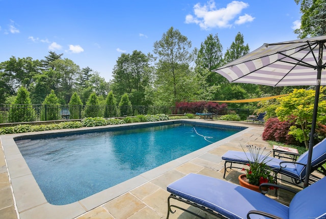 19 Skymeadow Dr, Stamford, CT 06903 - view of pool with a patio and a fenced backyard