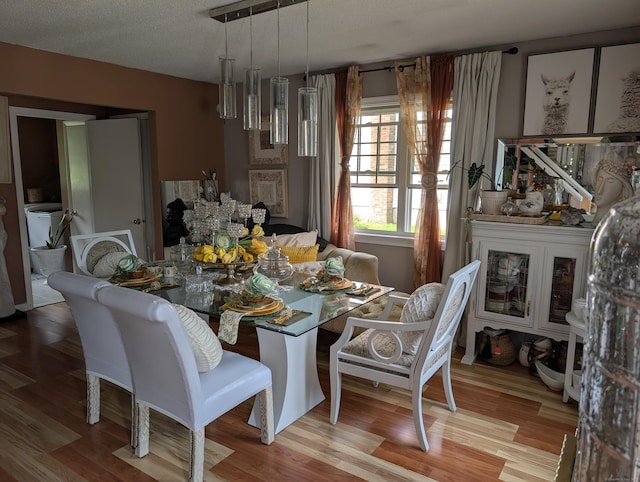 101 Chipper Rd, Waterbury, CT 06704 - dining space featuring wood finished floors and a textured ceiling