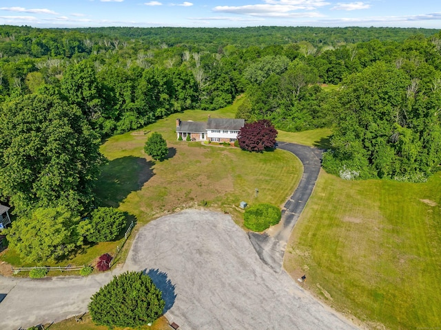2 Marion Ln, Canterbury, CT 06331 - view of property location featuring a heavily wooded area