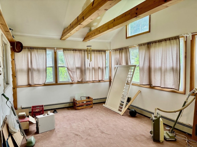 56 Clapboard Ridge Rd, Danbury, CT 06811 - exercise room with carpet flooring, vaulted ceiling, and a baseboard heating unit