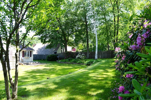 76 Country Ln, Bristol, CT 06010 - view of yard
