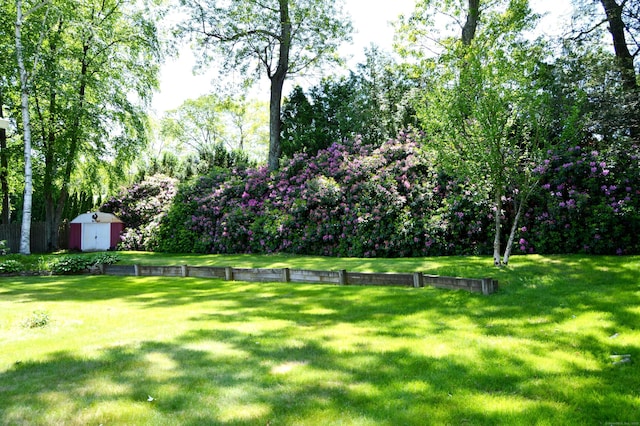 76 Country Ln, Bristol, CT 06010 - view of grassy yard with view of wooded area