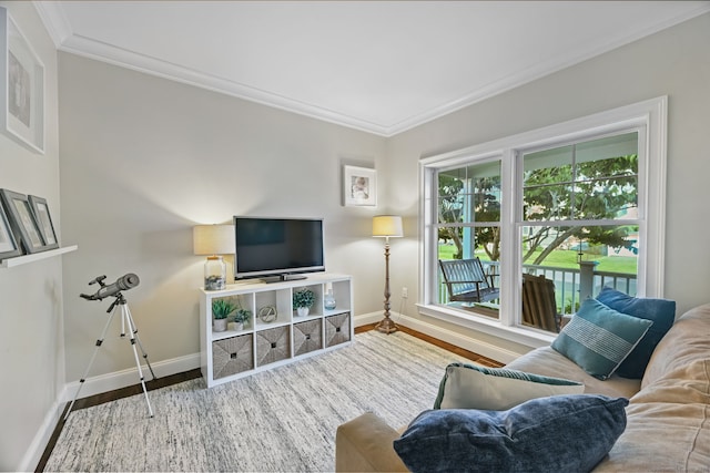 living area featuring baseboards, crown molding, and wood finished floors