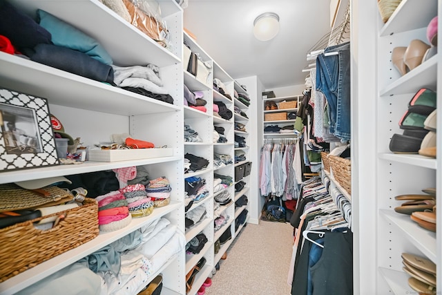 walk in closet featuring carpet