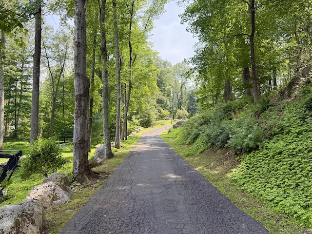 51 Boulder Brook Dr, Stamford, CT 06903 - view of road with a wooded view