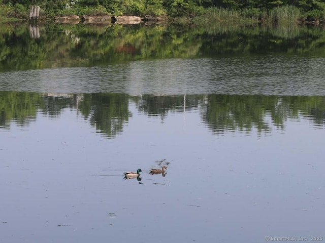 144 E Ave Apt B106, Norwalk, CT 06851 - water view