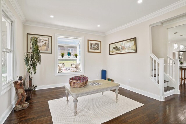 26 Mary St, Shelton, CT 06484 - office space featuring plenty of natural light, dark wood-style flooring, baseboards, crown molding, and recessed lighting