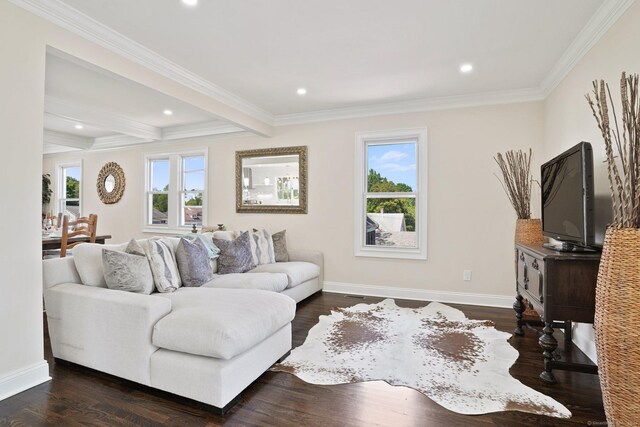 26 Mary St, Shelton, CT 06484 - living room featuring baseboards, ornamental molding, beamed ceiling, dark wood finished floors, and recessed lighting