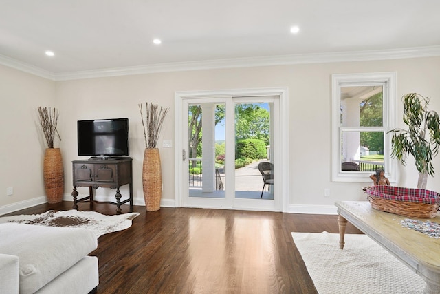 26 Mary St, Shelton, CT 06484 - living room featuring dark wood-style flooring, ornamental molding, baseboards, and recessed lighting
