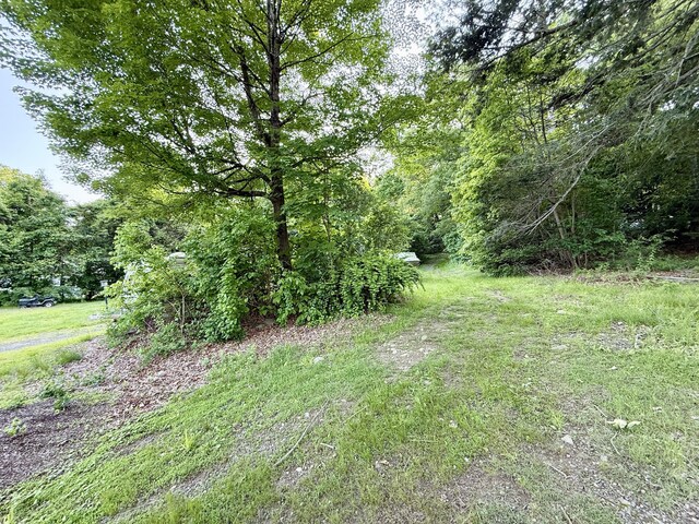 70 E Hill Rd, Canton, CT 06019 - view of yard with a forest view