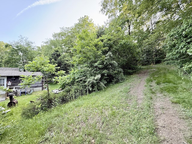 70 E Hill Rd, Canton, CT 06019 - view of yard with driveway