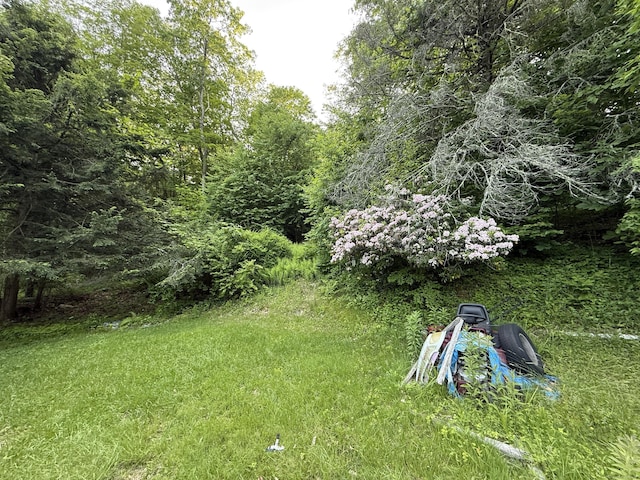 70 E Hill Rd, Canton, CT 06019 - view of yard