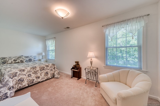 288 Bulkeley Hill Rd, Colchester, CT 06415 - photo 33
