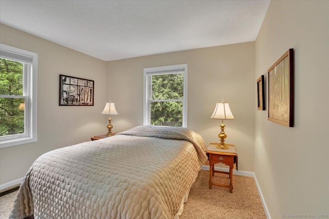 19 Oak Leaf Cir, Coventry, CT 06238 - carpeted bedroom with baseboards and multiple windows