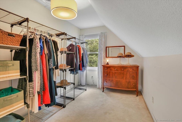 19 Oak Leaf Cir, Coventry, CT 06238 - walk in closet with vaulted ceiling and carpet
