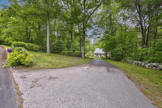 19 Oak Leaf Cir, Coventry, CT 06238 - view of asphalt driveway