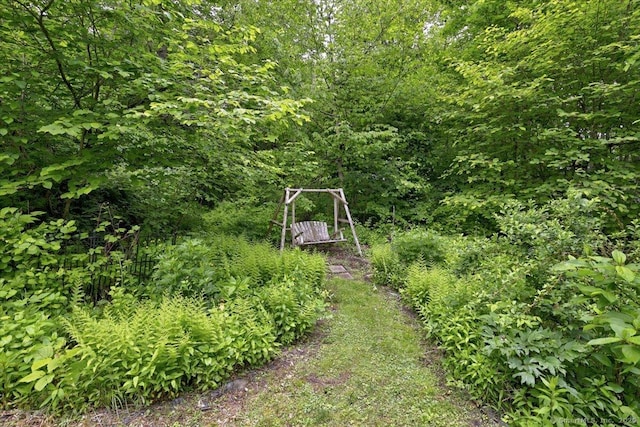 19 Oak Leaf Cir, Coventry, CT 06238 - view of yard