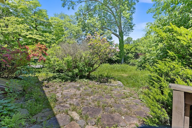 54 Briarwood Rd, Newington, CT 06111 - view of yard