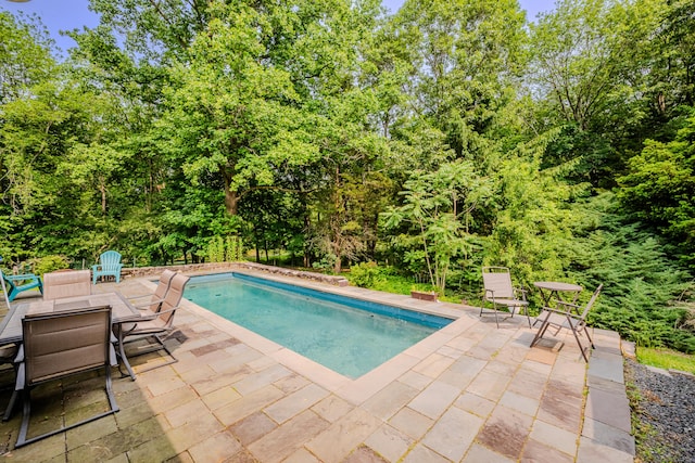 11 Walker Ln, Woodbridge, CT 06525 - outdoor pool featuring a patio area and outdoor dining space