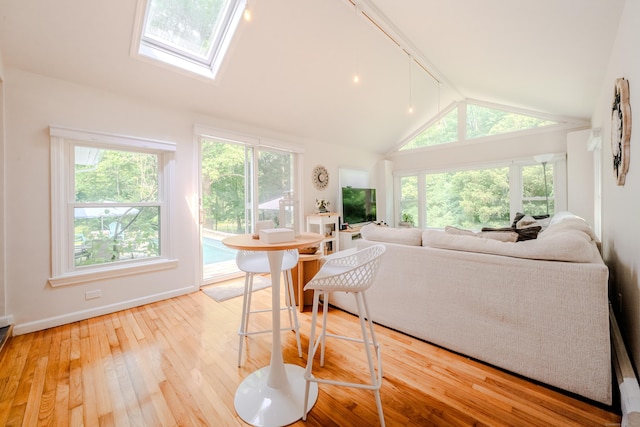 11 Walker Ln, Woodbridge, CT 06525 - living room with lofted ceiling, light wood-type flooring, a skylight, and baseboards